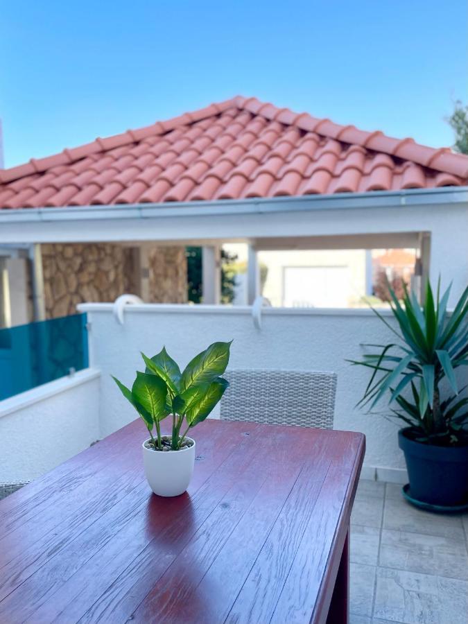 סופטאר Villa Sofija מראה חיצוני תמונה